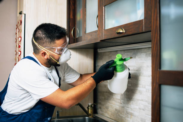 Best Mosquito Control Services  in St Paul, VA